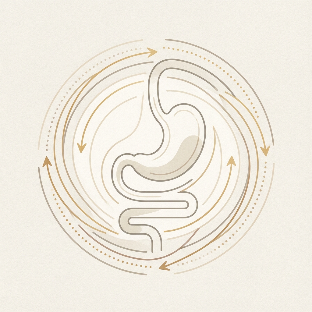 왜 위장은 움직여야
나을 수 있을까요