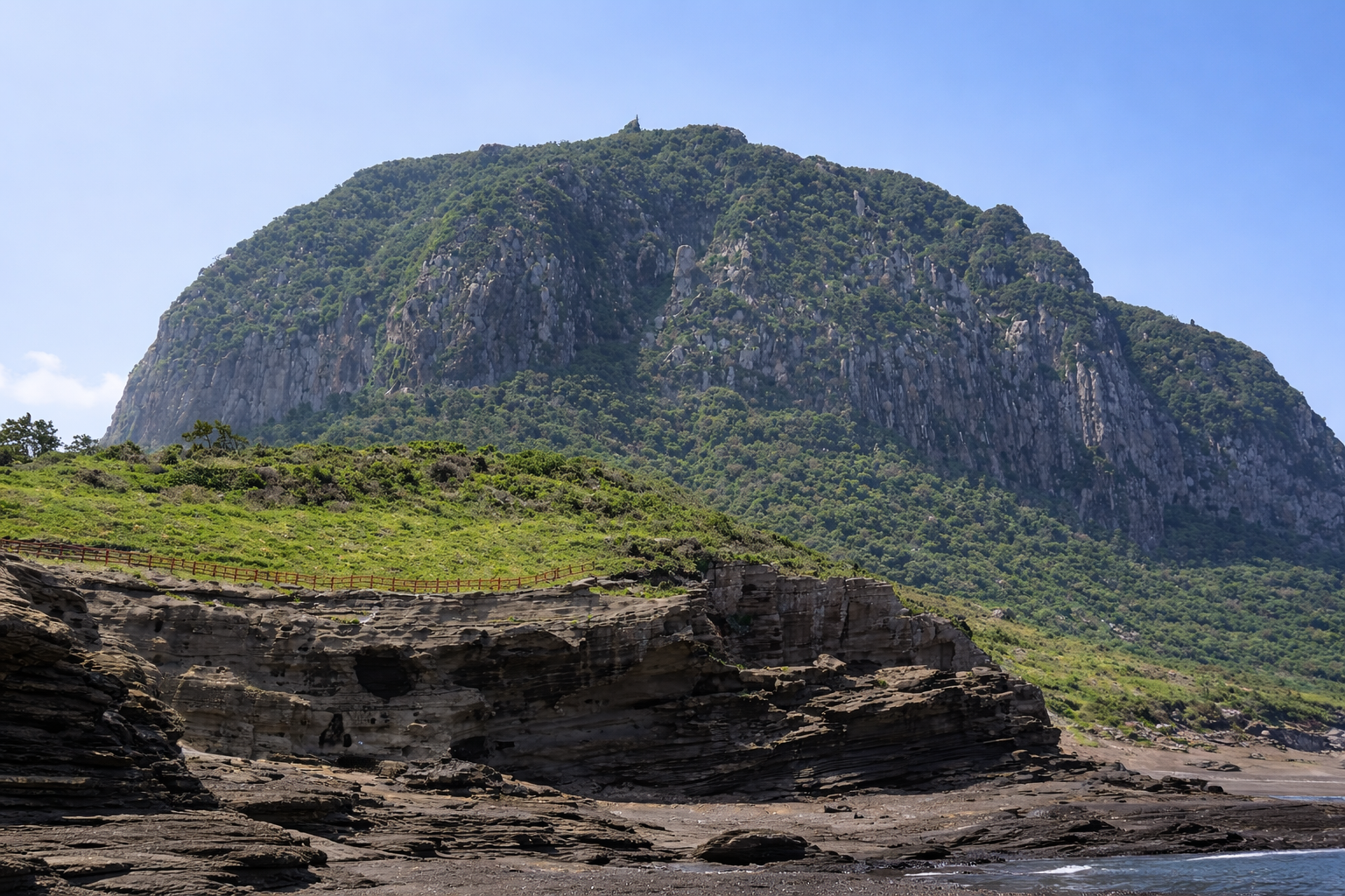 왜 제주 약재인가