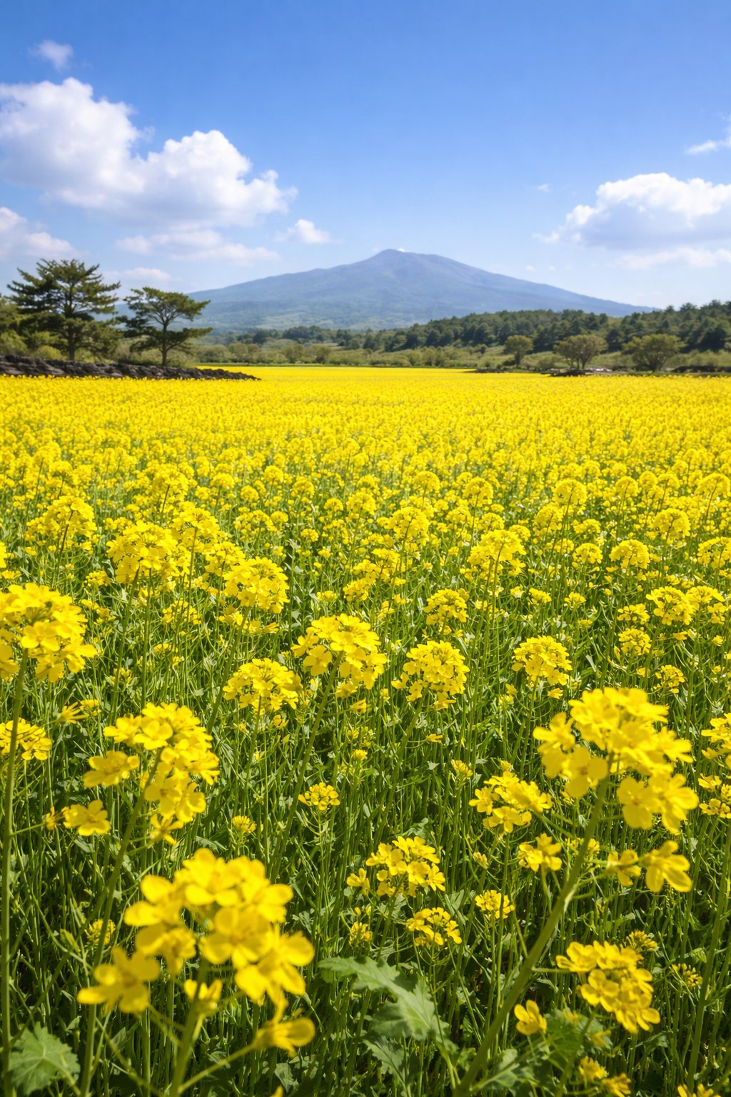 금맥한의원 한약