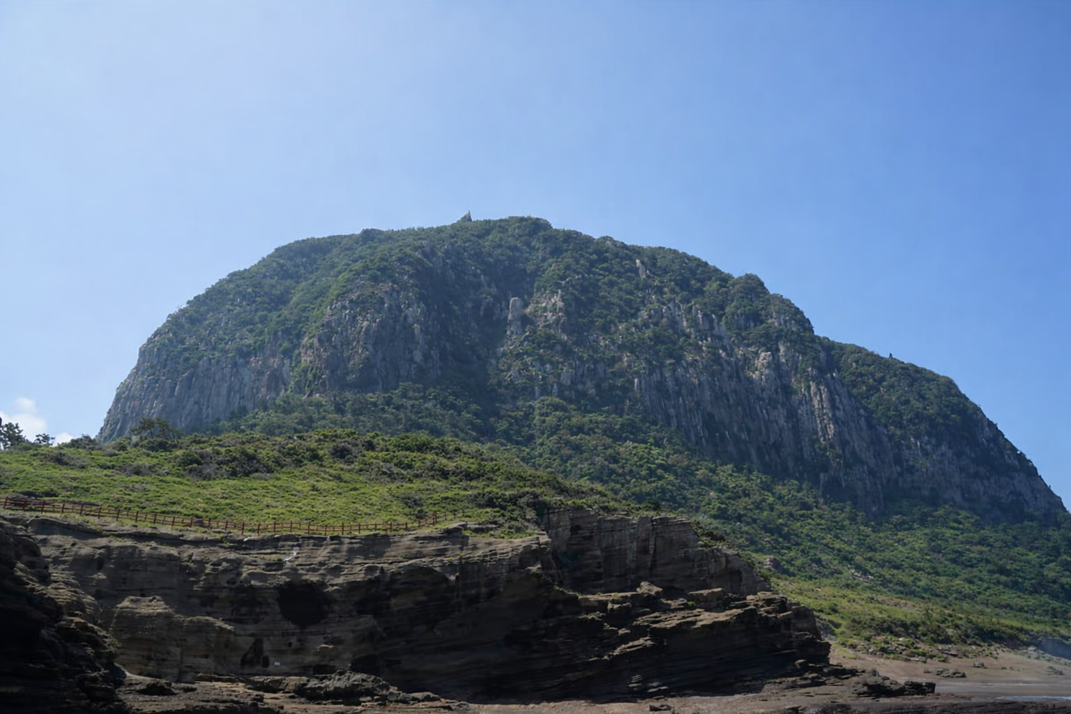 왜 제주 약재인가