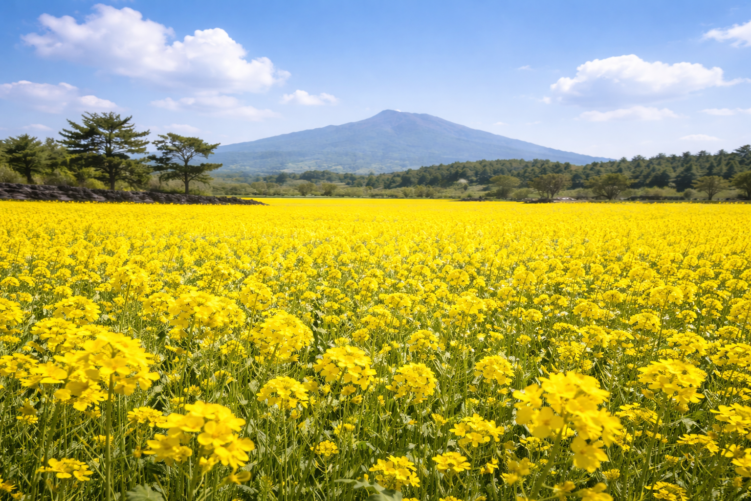 금맥한의원 한약